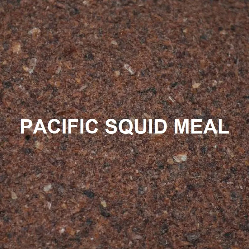 MASSIVE BAITS PACIFIC SQUID MEAL 1KG KP001