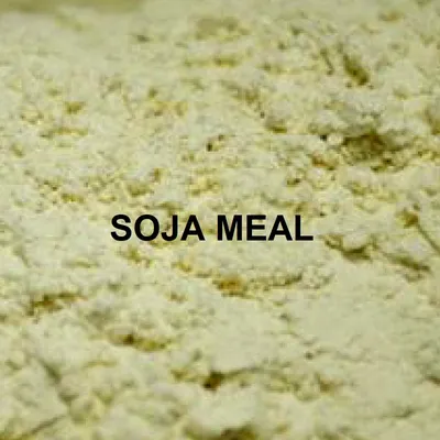 MASSIVE BAITS SOJA MEAL DELFATTED 1Kg KP043