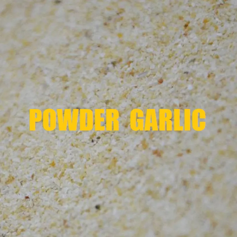 MASSIVE BAITS POWDER GARLIC 500 gr KP062