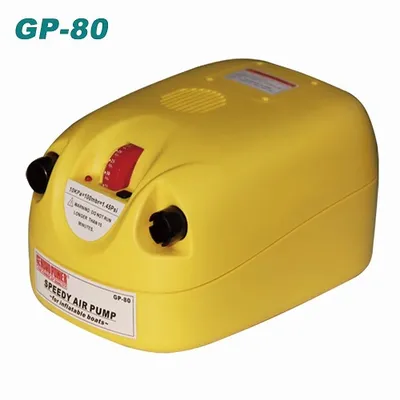 RAPTOR GT ELECTRIC AIR PUMP DC 12V NBHQ C2021060