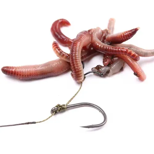 Nash Maggot Clip Small