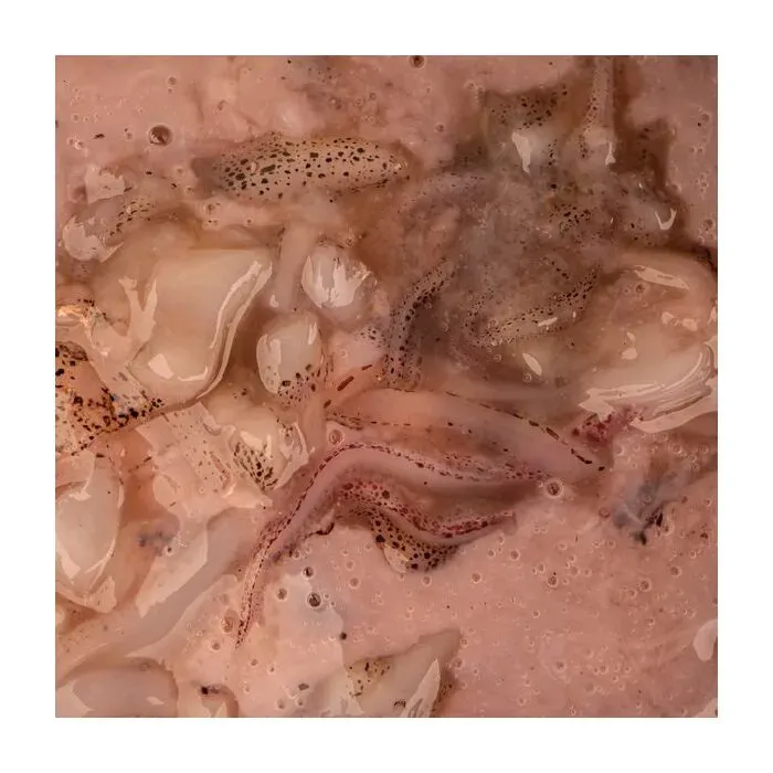 Nash Salted Squid 500ml