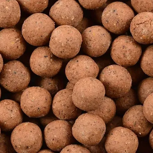 Nash Scopex Squid Boilies 15mm 5Kg