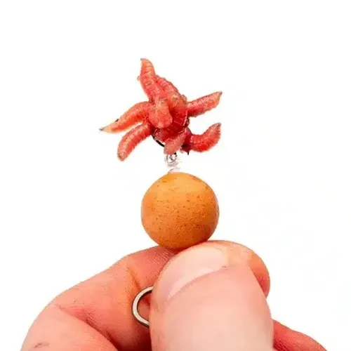 Nash Maggot Screw Small