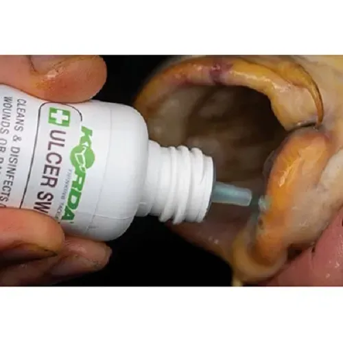 Korda Antiseptico Carp Care Kit