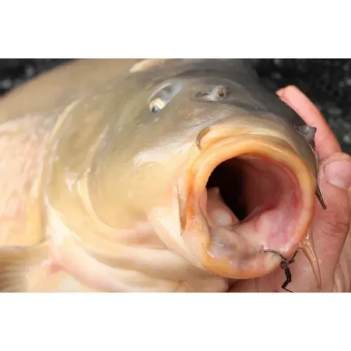 Korda Anzuelo Mixa Size 8