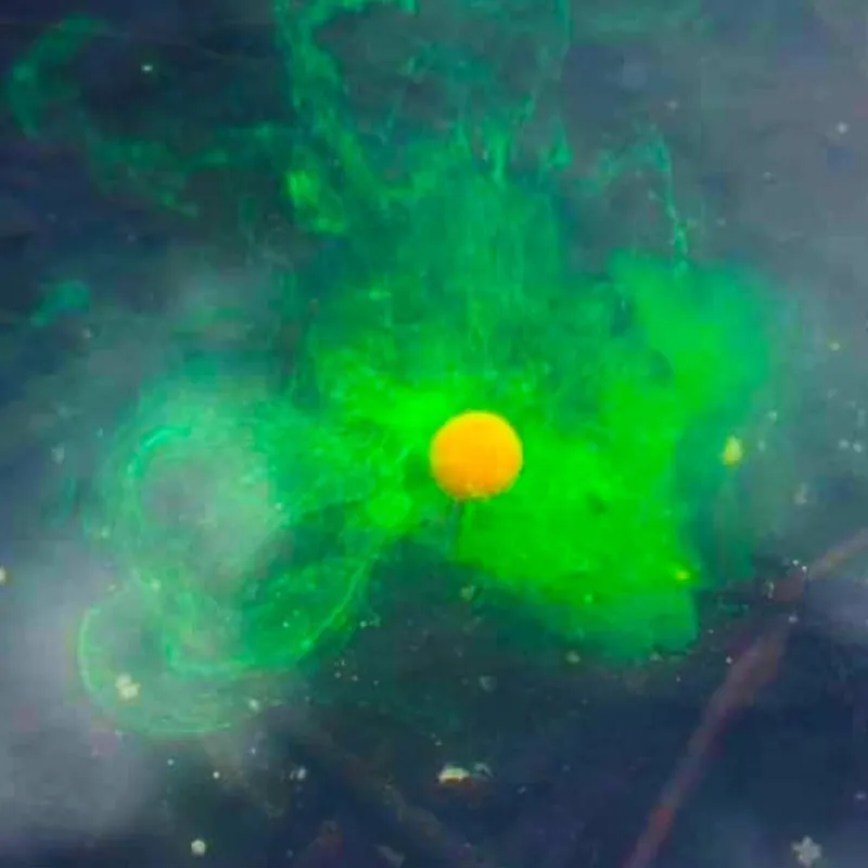 Pop-up naranja soltando atrayente verde bajo el agua